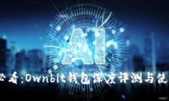 2025必看：Ownbit钱包深度评测与使用体验