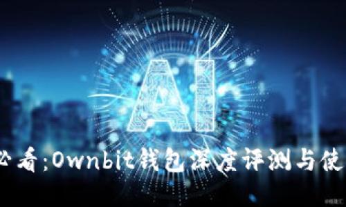 2025必看：Ownbit钱包深度评测与使用体验