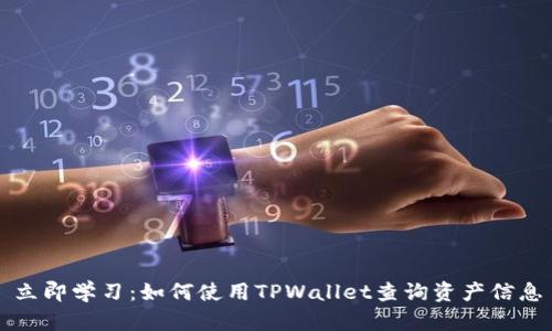 立即学习：如何使用TPWallet查询资产信息