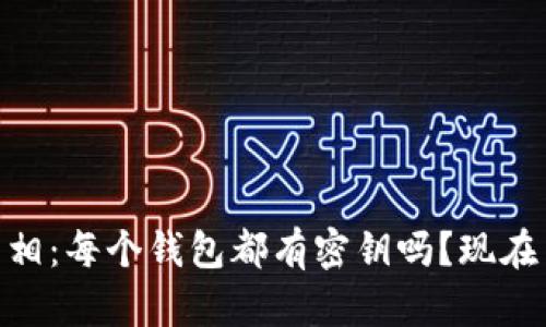 区块链钱包的真相：每个钱包都有密钥吗？现在了解，2025必看！