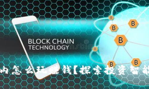 虚拟币在国内怎么玩赚钱？探索投资智能与风险策略