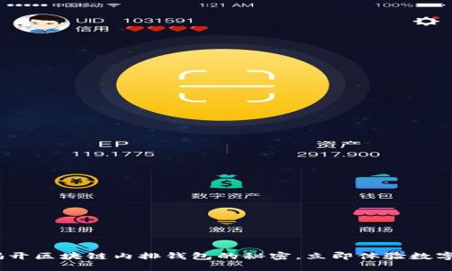 2025必看：揭开区块链内排钱包的秘密，立即体验数字资产的未来！
