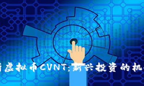 深入解析虚拟币CVNT：新兴投资的机会与挑战