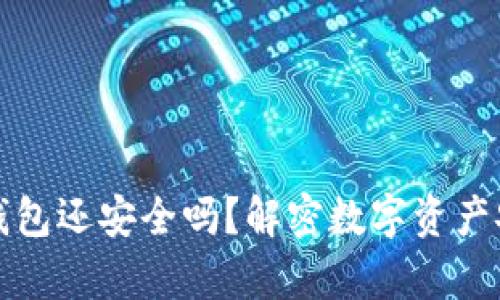 被盗的TP钱包还安全吗？解密数字资产安全的奥秘
