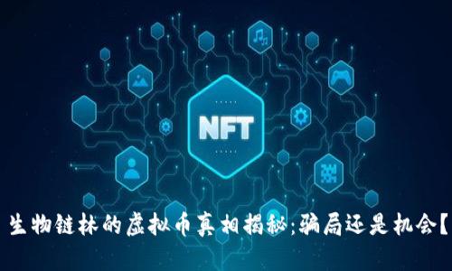 生物链林的虚拟币真相揭秘：骗局还是机会？