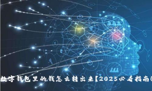 数字钱包里的钱怎么转出来？2025必看指南！