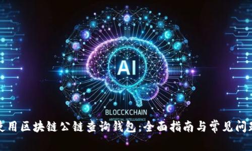 如何使用区块链公链查询钱包：全面指南与常见问题解答
