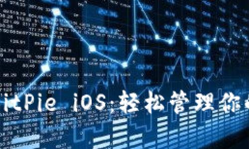 深度解析BitPie iOS：轻松管理你的加密资产