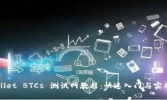 TPWallet BTCs 测试网教程：快速入门与实用技巧
