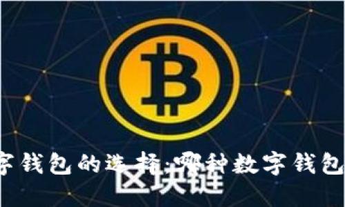 Title: 数字钱包的选择：哪种数字钱包最适合你？