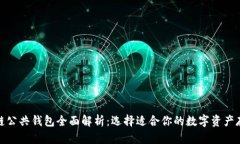 : 区块链公共钱包全面解析：选择适合你的数字资
