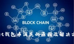 tpwallet钱包币消失的原因及解决方案分析