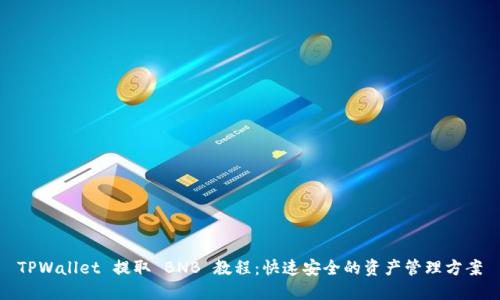TPWallet 提取 BNB 教程：快速安全的资产管理方案