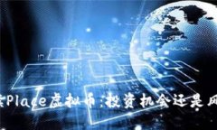 解读Place虚拟币：投资机会还是风险？