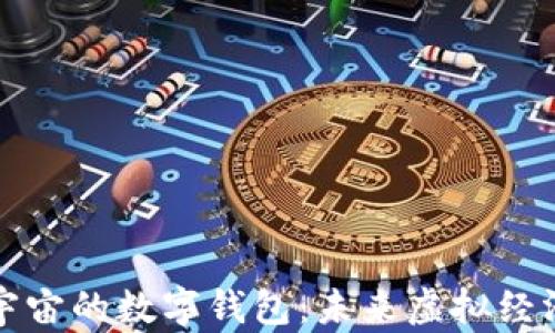 
深入探索元宇宙的数字钱包：未来虚拟经济的关键工具