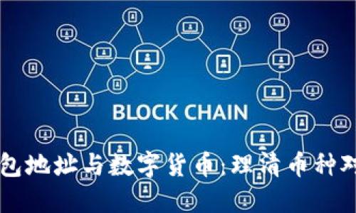 虚拟钱包地址与数字货币：理清币种对应关系