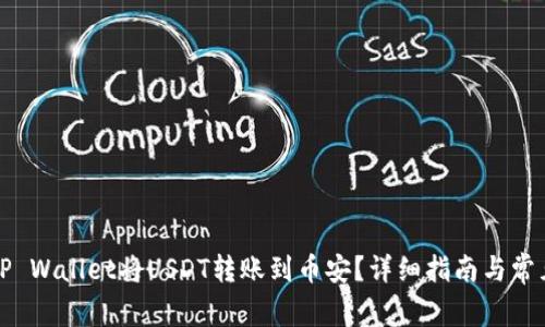 如何通过TP Wallet将USDT转账到币安？详细指南与常见问题解答